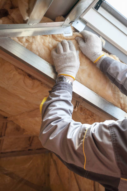 Best Cellulose Insulation  in Campbellsburg, KY